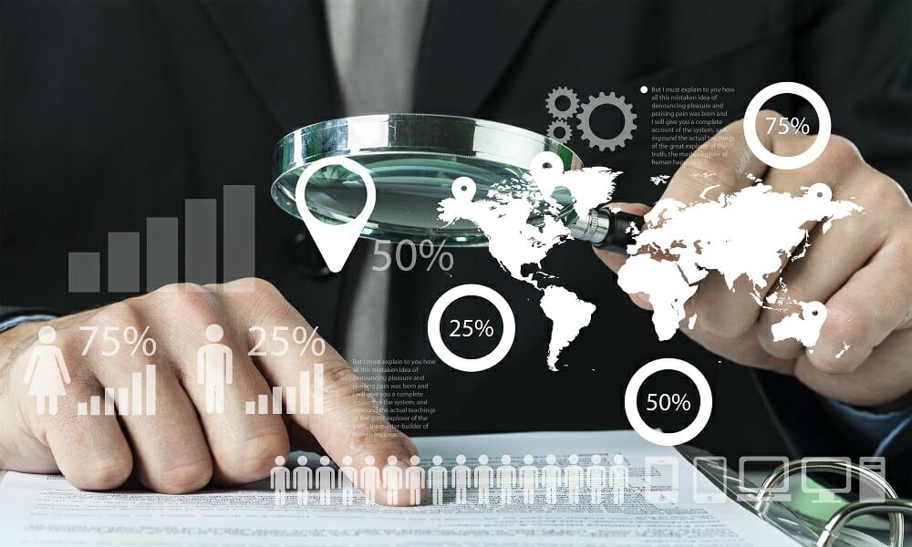 Business consulting professionals at work